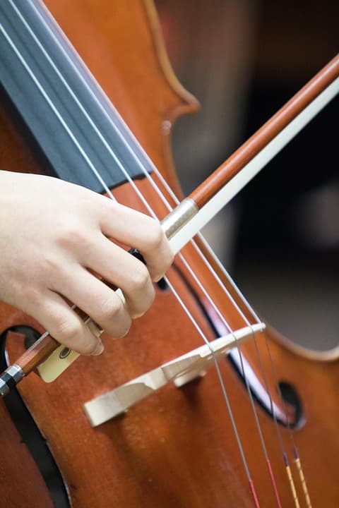 Violoncelo
